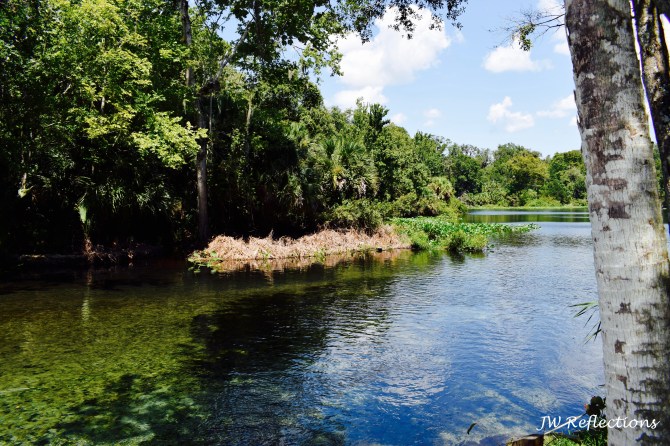 wekiva-springs-4