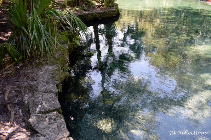Wekiva Springs 7.jpg